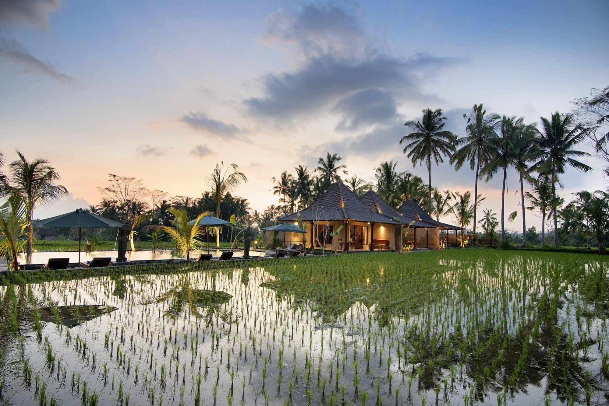 Pajar House Ubud Suite & Villas 外观 照片