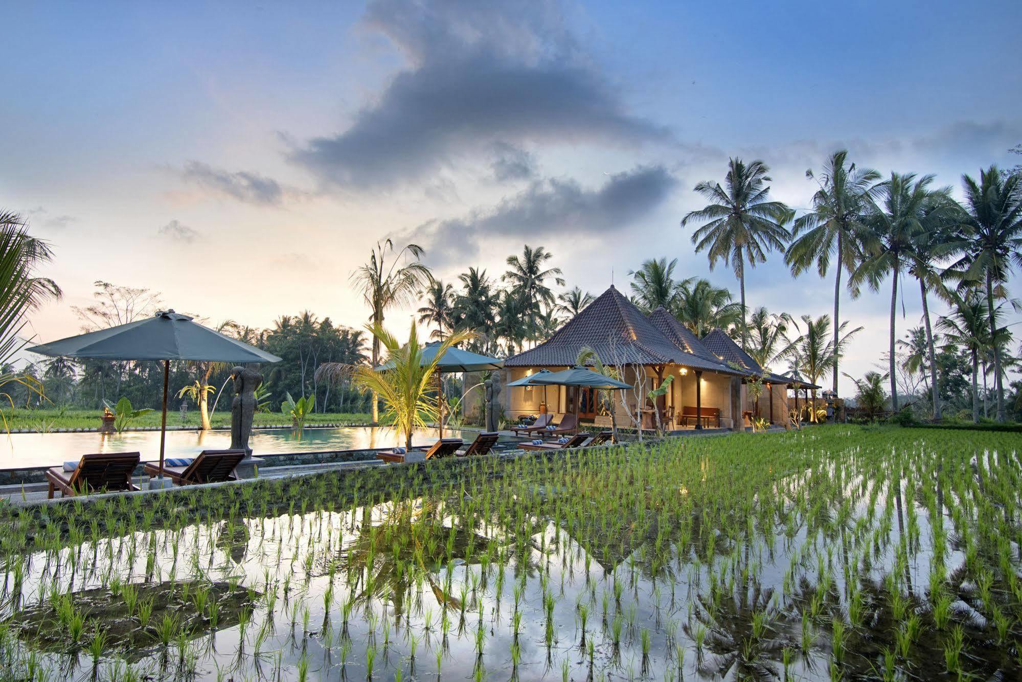 Pajar House Ubud Suite & Villas 外观 照片